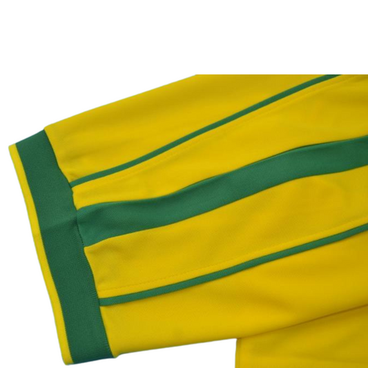 Brasilienien Heim WM Finale Version 1998