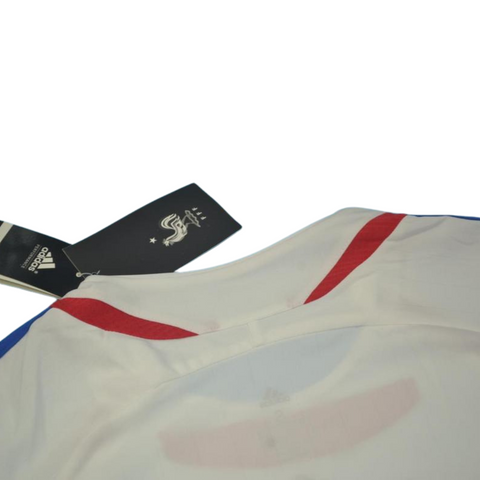 Frankreich Final WM Version 2006