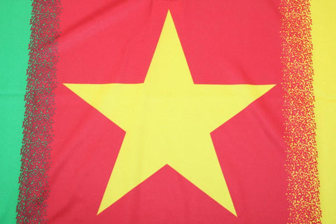 Kamerun Heim 1994
