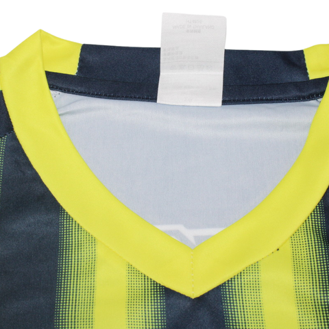 Fenerbahçe Heim 13/14