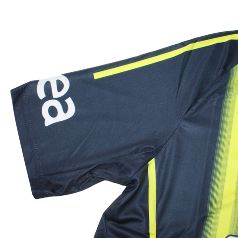 Fenerbahçe Heim 13/14