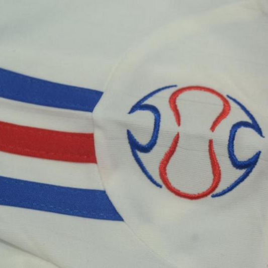 Frankreich Final WM Version 2006